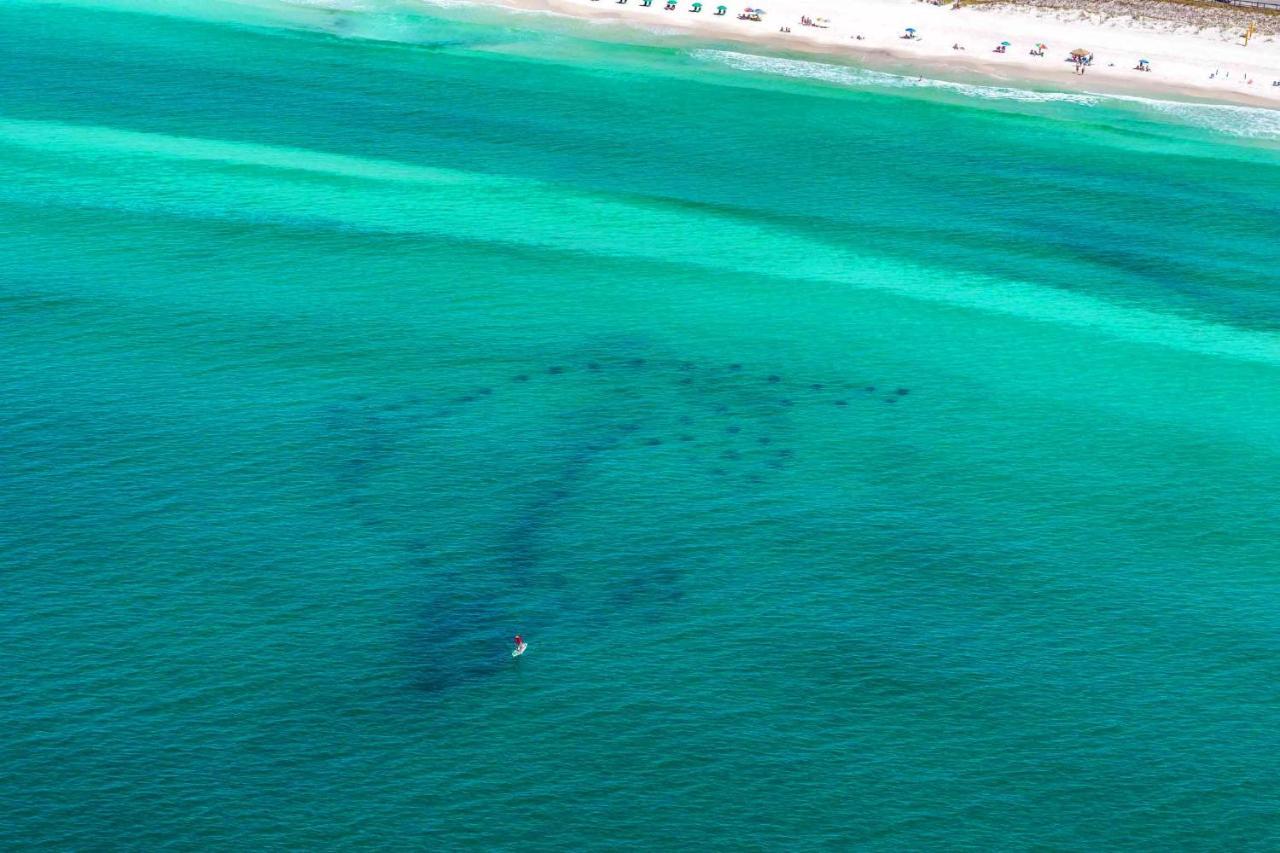 Caribbean Dunes 121 Destin Kültér fotó